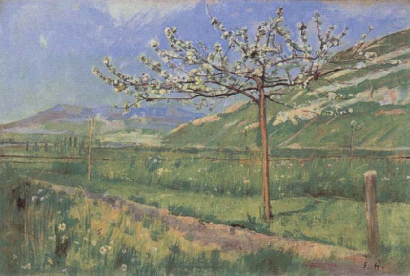 Ferdinand Hodler Apple tree in Blossom china oil painting image